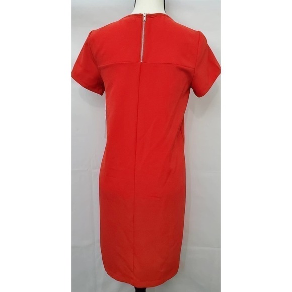 Chelsea28 Crepe Shift Dress (NWT)‎ - Picture 5 of 8